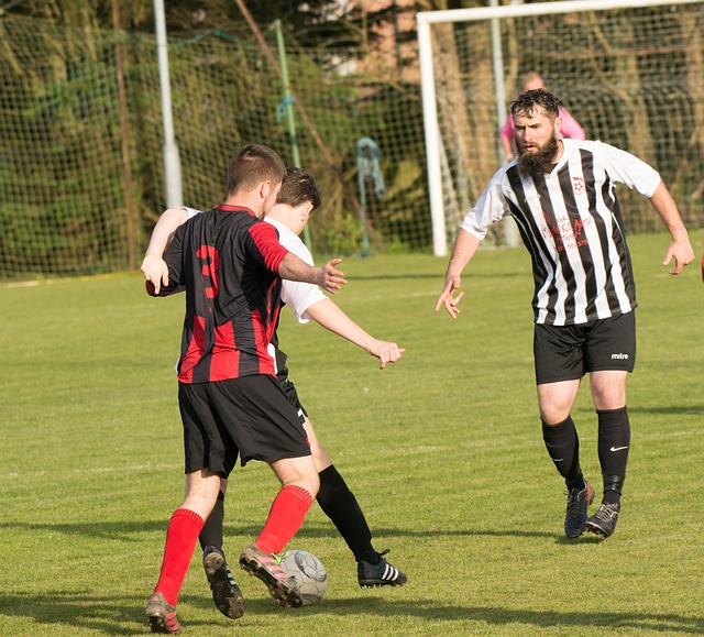 西海岸投资人：未来会开拓海外市场，英博式股改适合我们